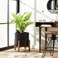 Safavieh Jesper Black Planter PAT1514A